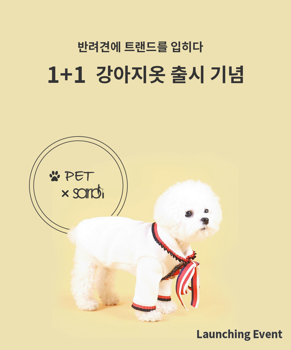 팝업